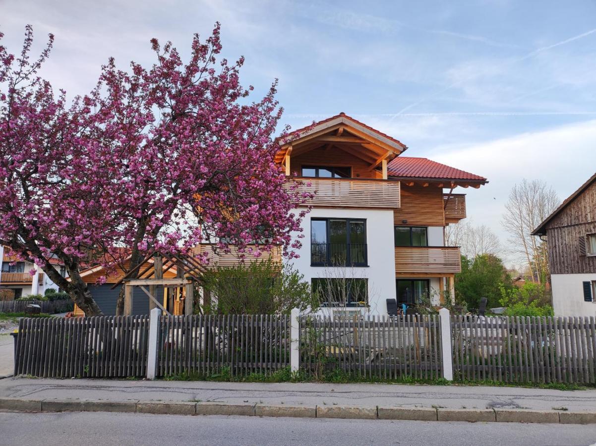 Ferienwohnung Schwaiger Almblick バート・テルツ エクステリア 写真